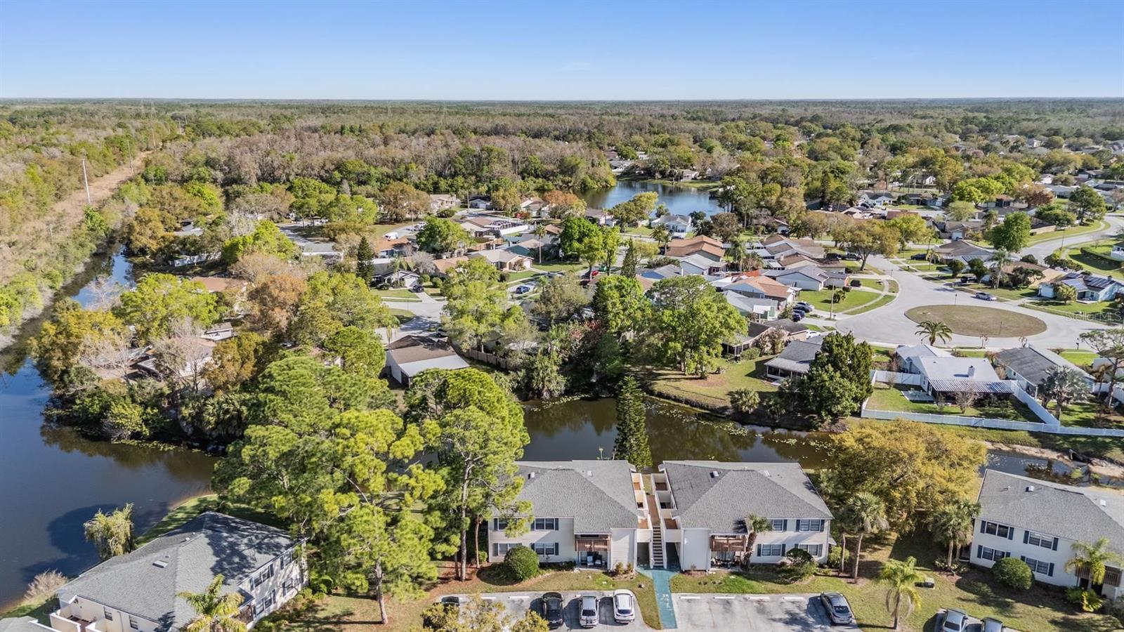124 LOBLOLLY CT #H, OLDSMAR, FL, 34677