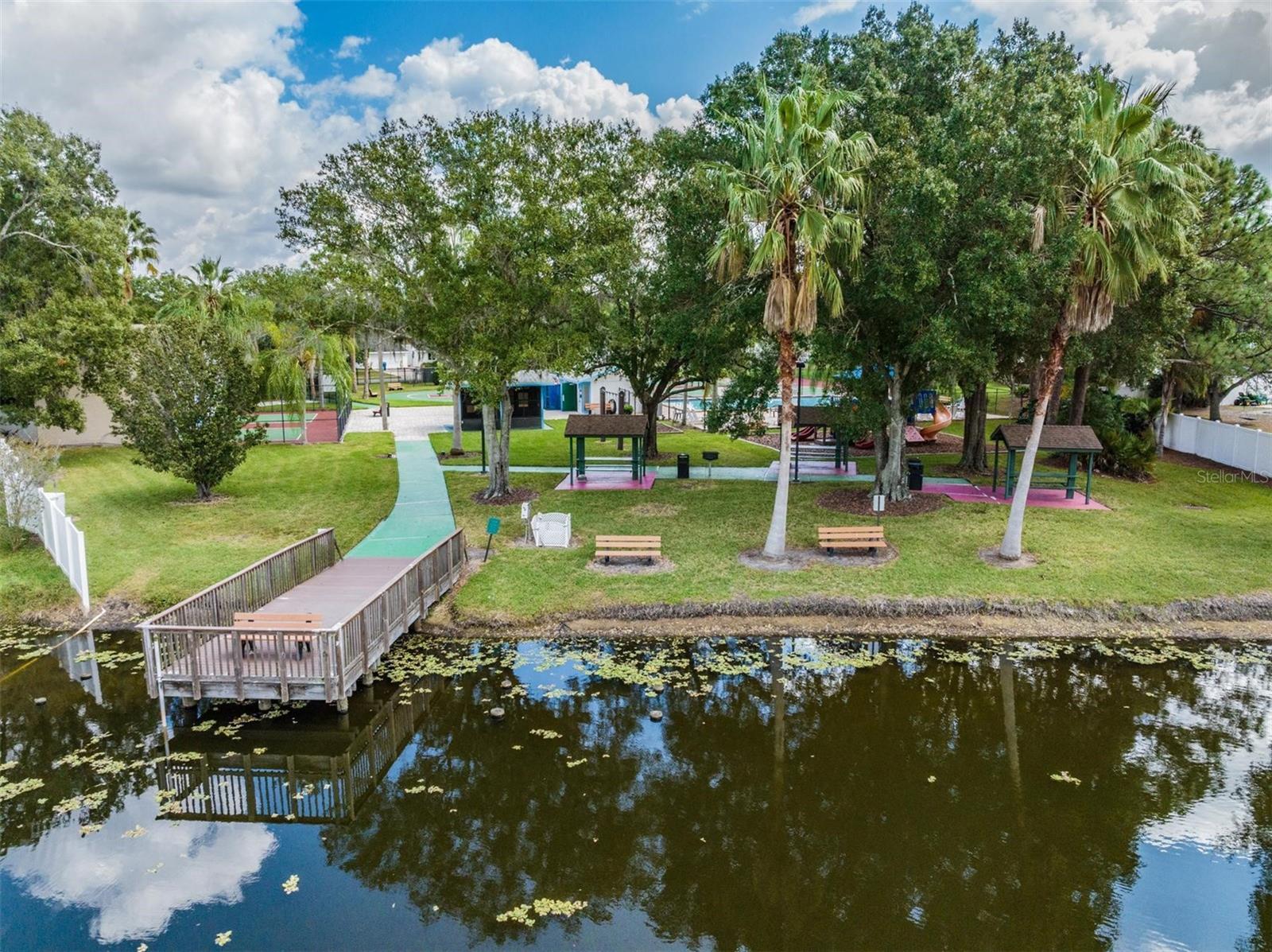 124 LOBLOLLY CT #H, OLDSMAR, FL, 34677