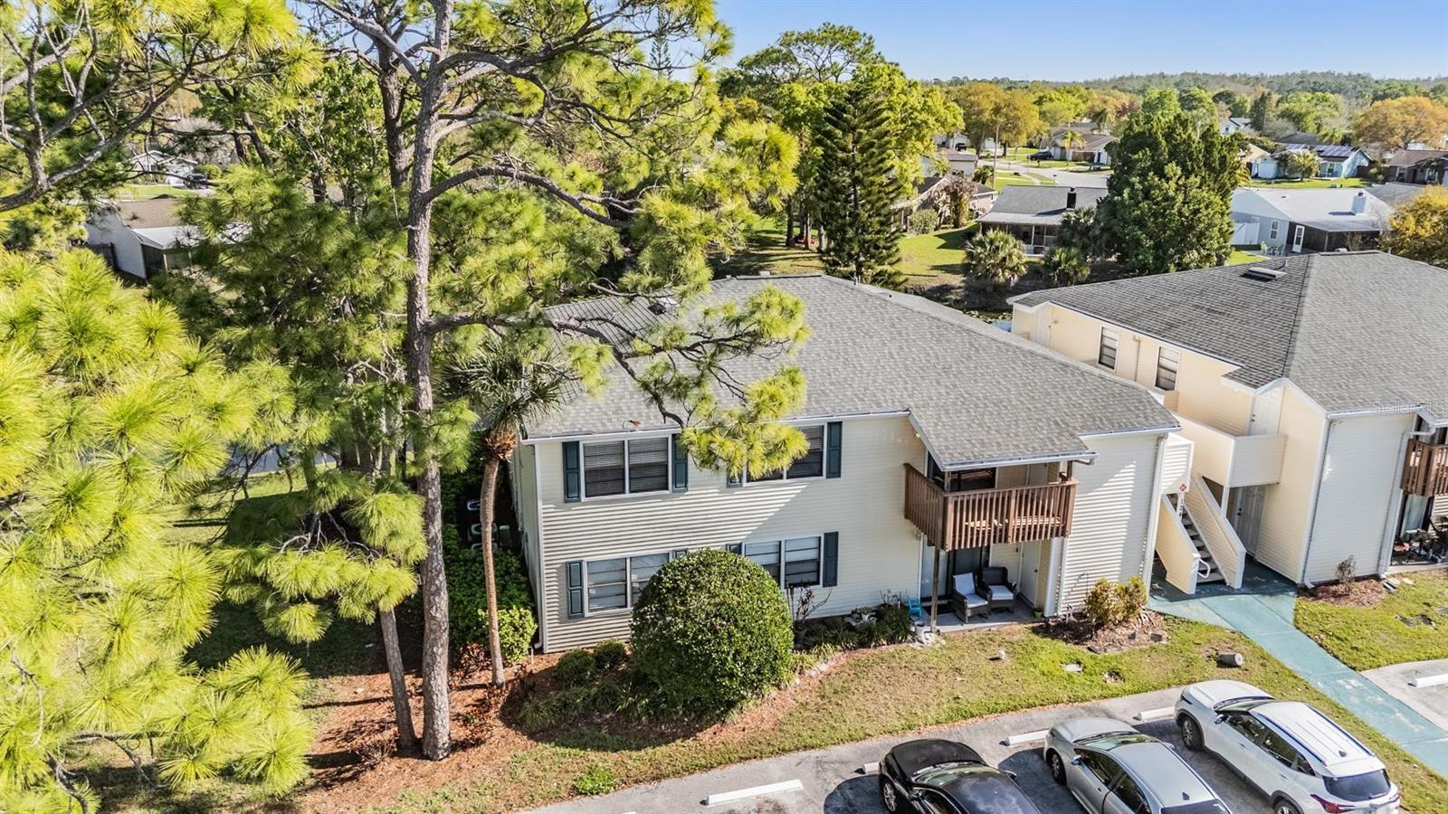 124 LOBLOLLY CT #H, OLDSMAR, FL, 34677