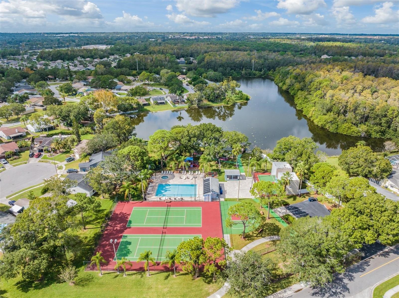 124 LOBLOLLY CT #H, OLDSMAR, FL, 34677