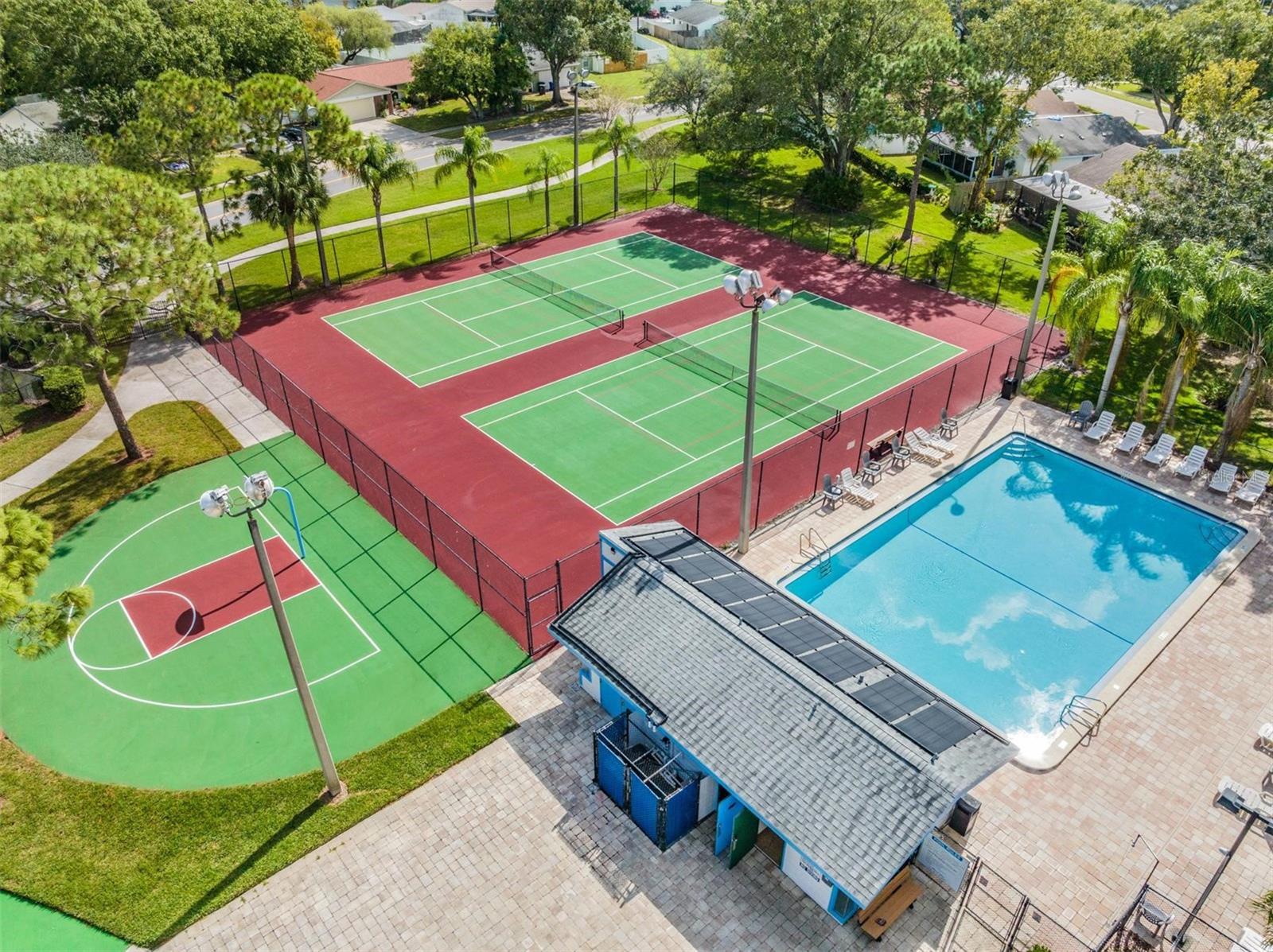 124 LOBLOLLY CT #H, OLDSMAR, FL, 34677