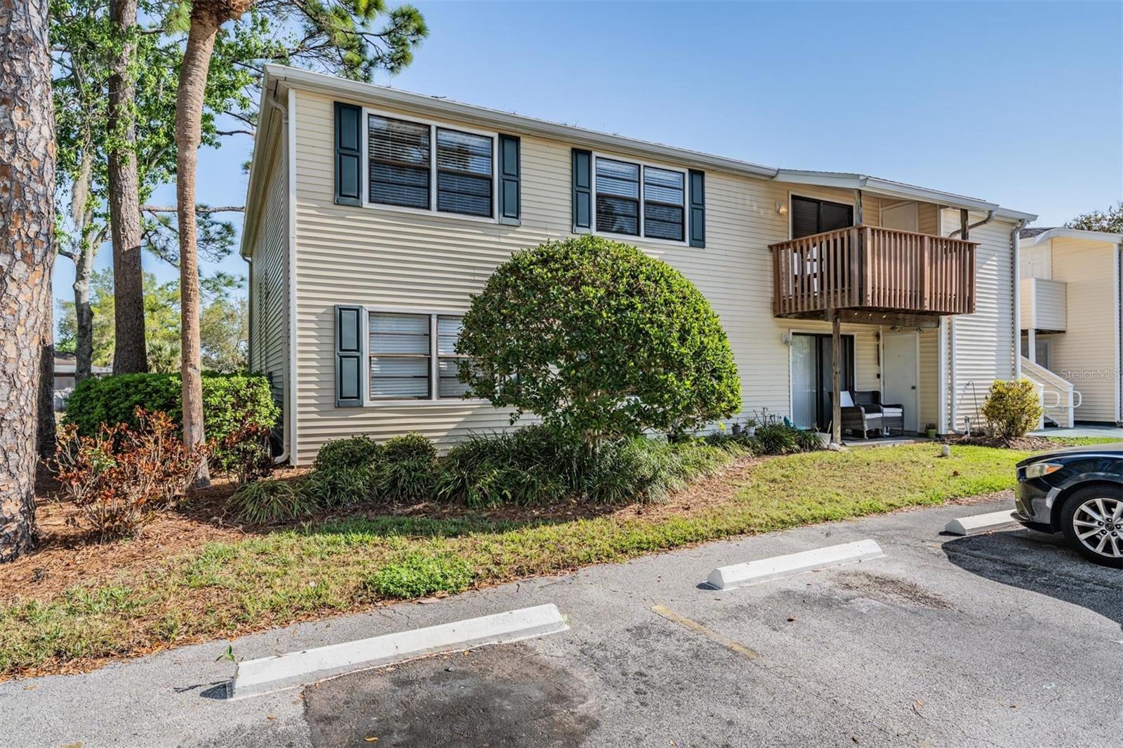 124 LOBLOLLY CT #H, OLDSMAR, FL, 34677