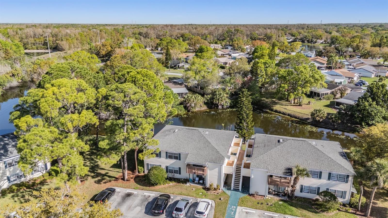 124 LOBLOLLY CT #H, OLDSMAR, FL, 34677