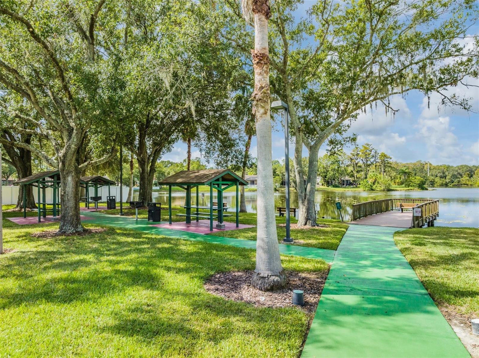 124 LOBLOLLY CT #H, OLDSMAR, FL, 34677