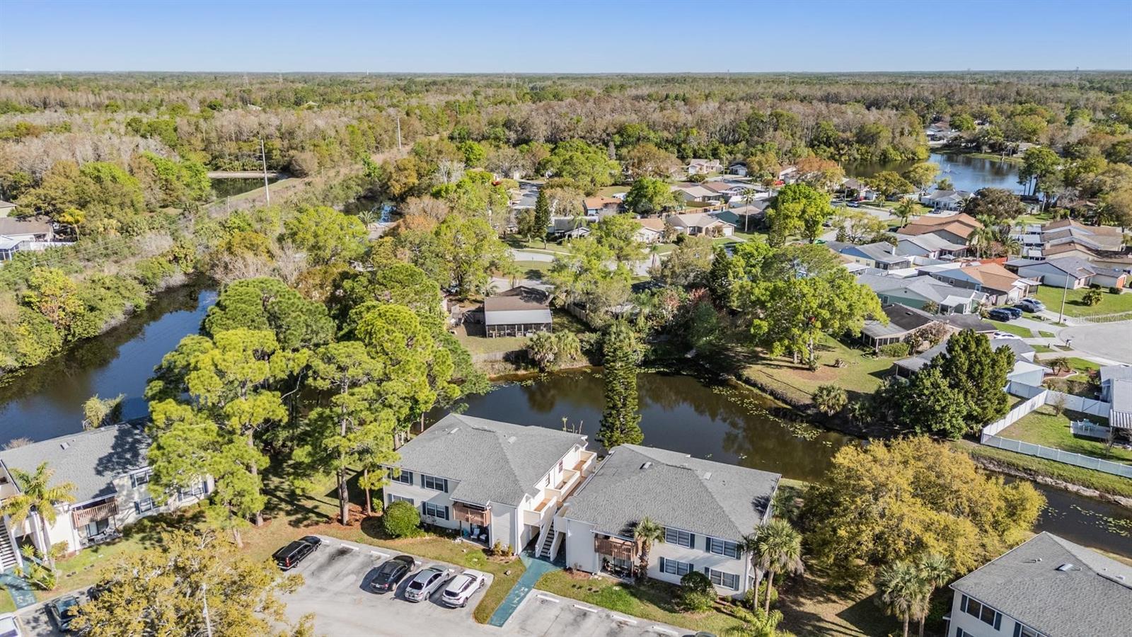 124 LOBLOLLY CT #H, OLDSMAR, FL, 34677