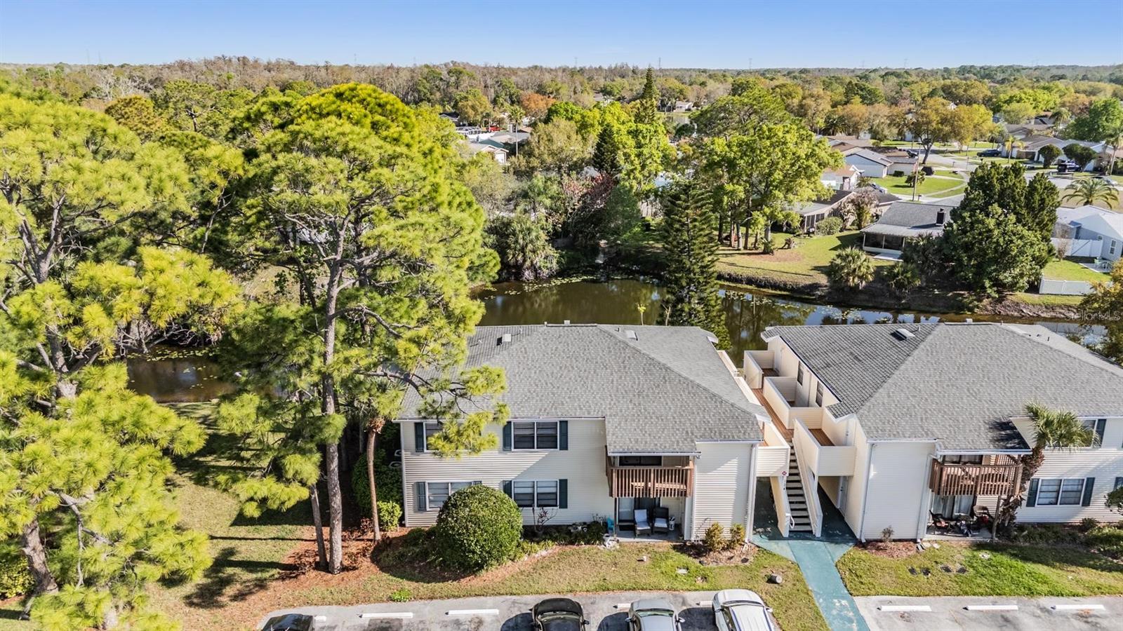 124 LOBLOLLY CT #H, OLDSMAR, FL, 34677