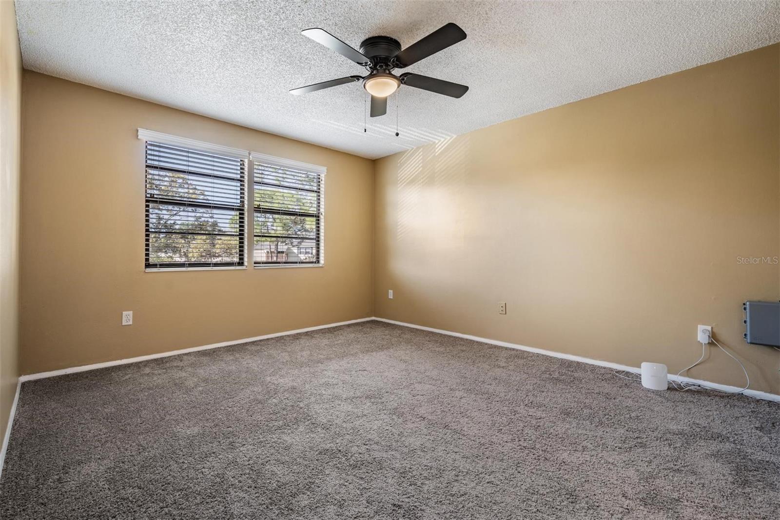 124 LOBLOLLY CT #H, OLDSMAR, FL, 34677