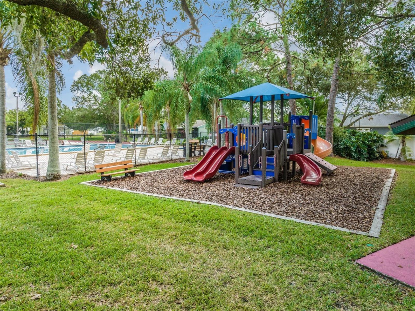124 LOBLOLLY CT #H, OLDSMAR, FL, 34677