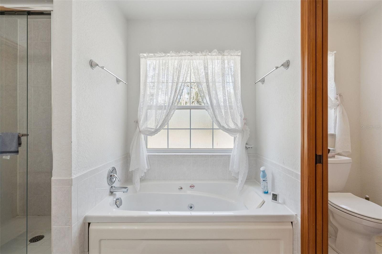 41731 DAHLIA ST, EUSTIS, FL, 32736