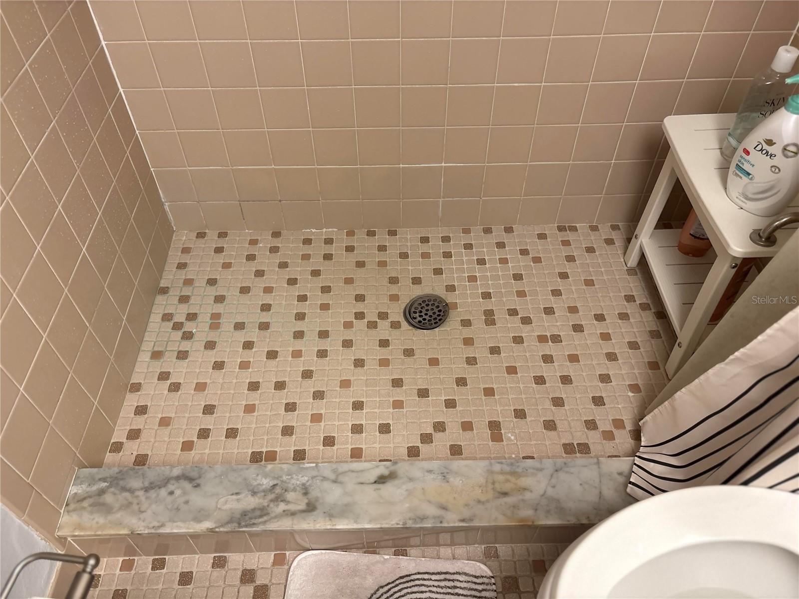 Master bath walk-in shower