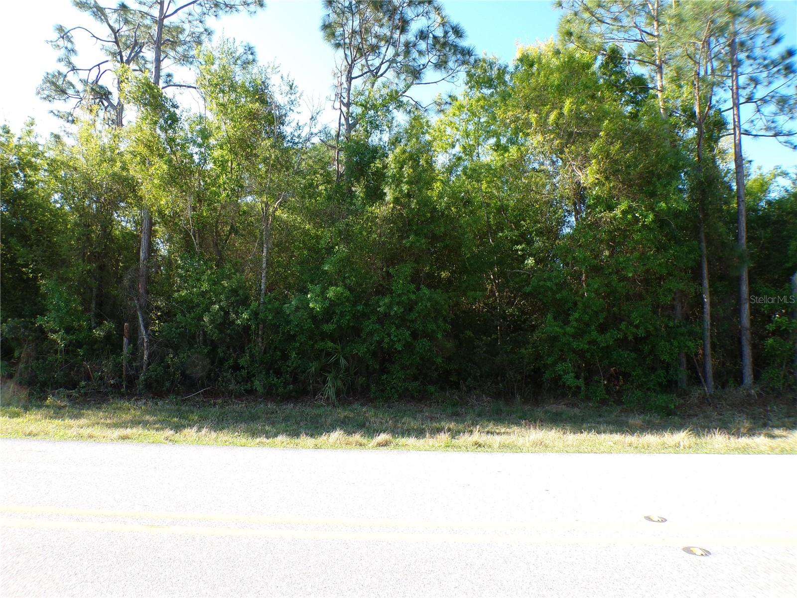 25161 AYSEN DR, PUNTA GORDA, FL, 33983