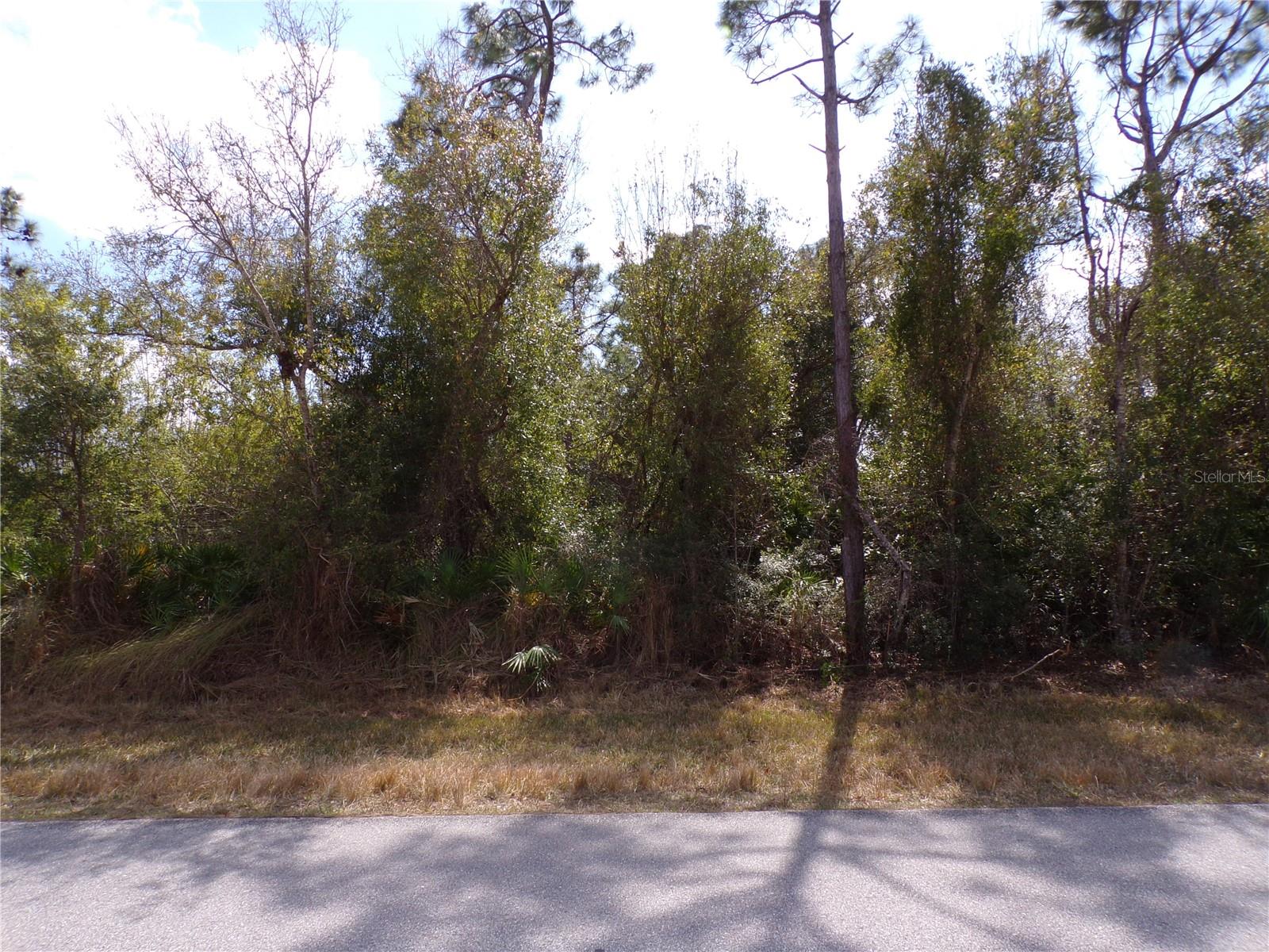 25161 AYSEN DR, PUNTA GORDA, FL, 33983