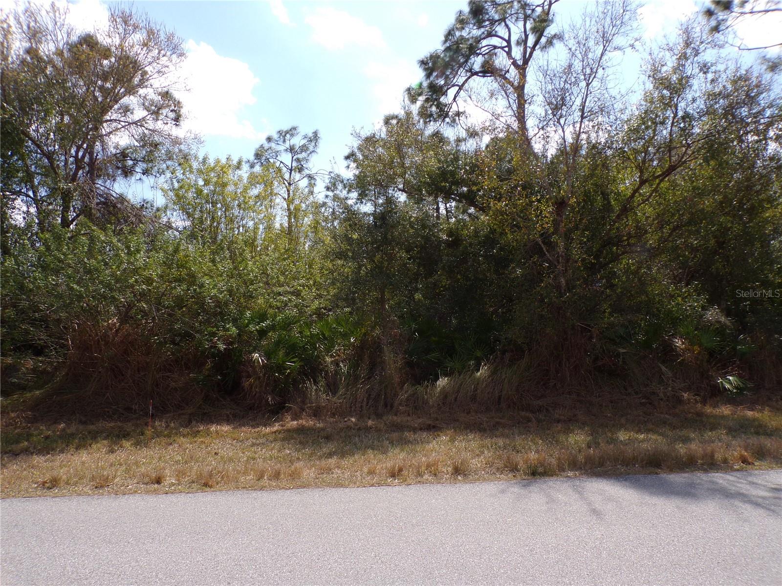 25161 AYSEN DR, PUNTA GORDA, FL, 33983