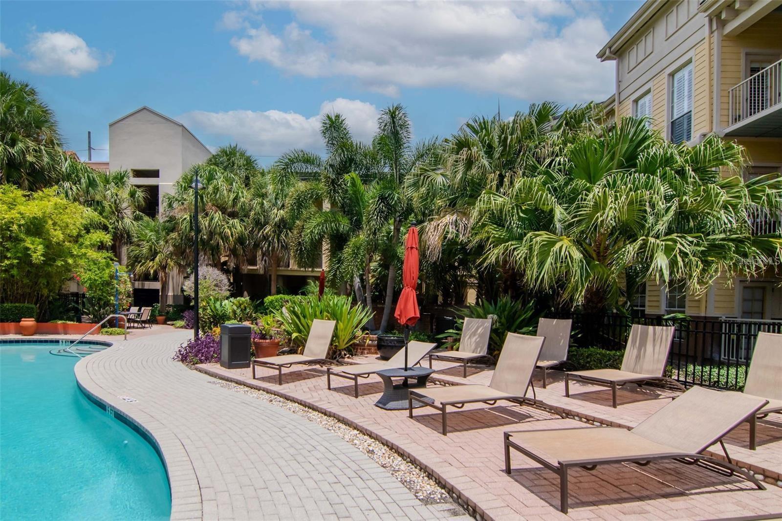 504 S ARMENIA AVE #1311, TAMPA, FL, 33609