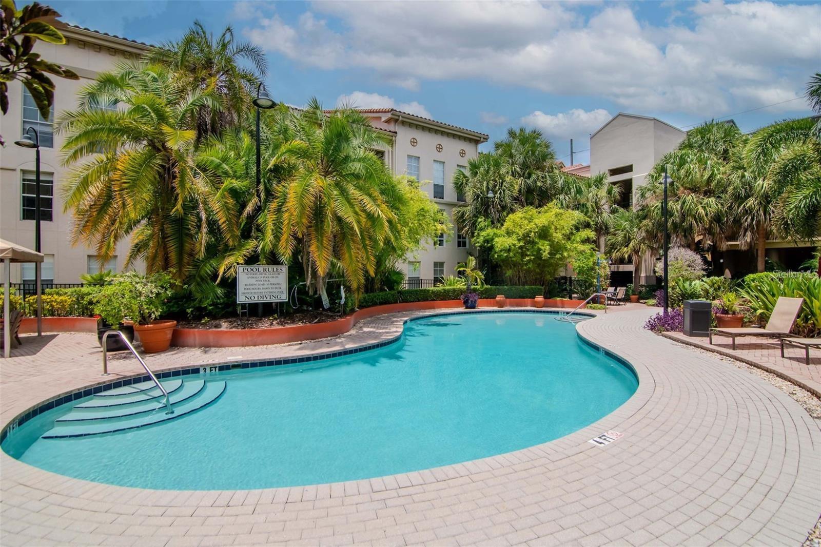 504 S ARMENIA AVE #1311, TAMPA, FL, 33609