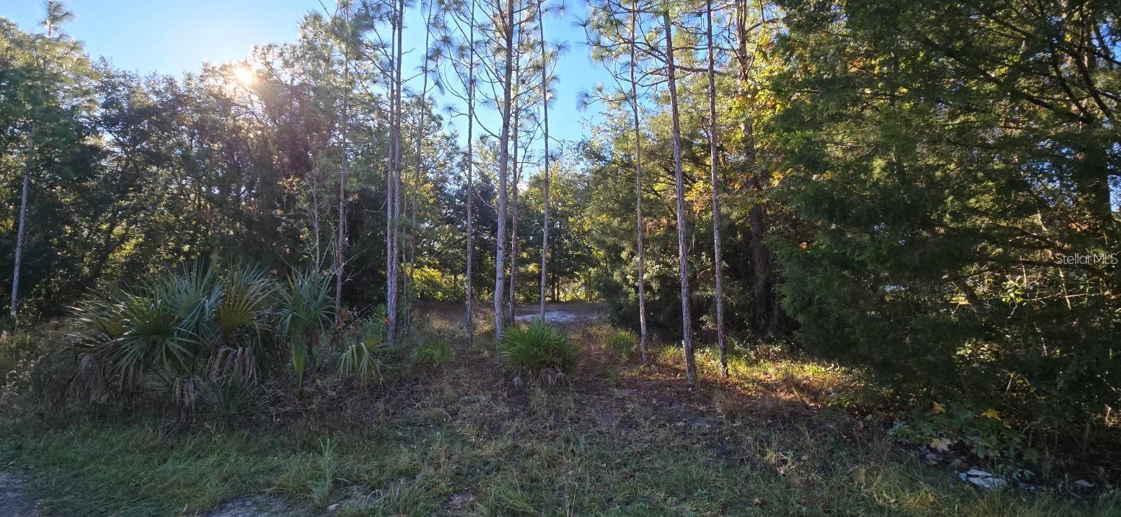 7784 W TWIN CANAL LN, HOMOSASSA, FL, 34448