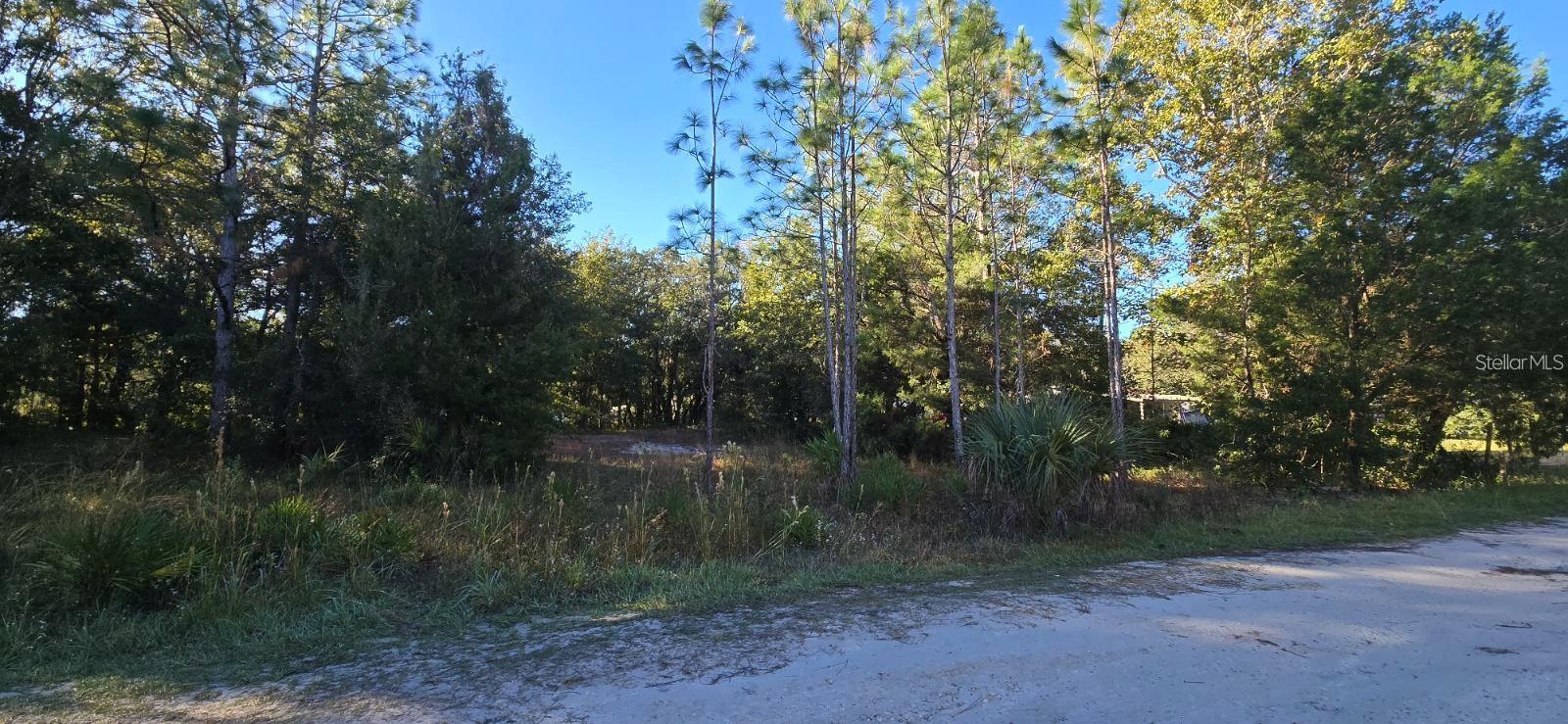 7784 W TWIN CANAL LN, HOMOSASSA, FL, 34448