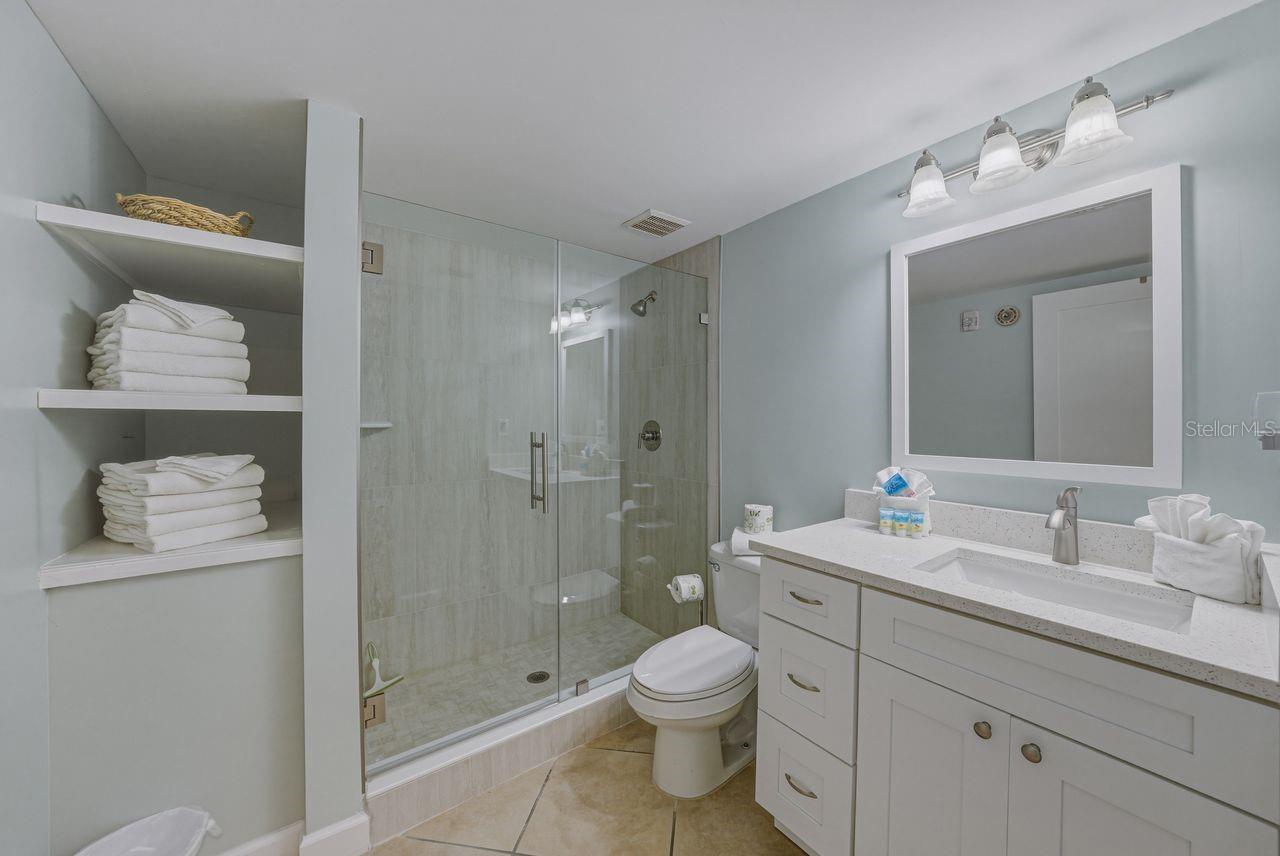 Frameless glass shower