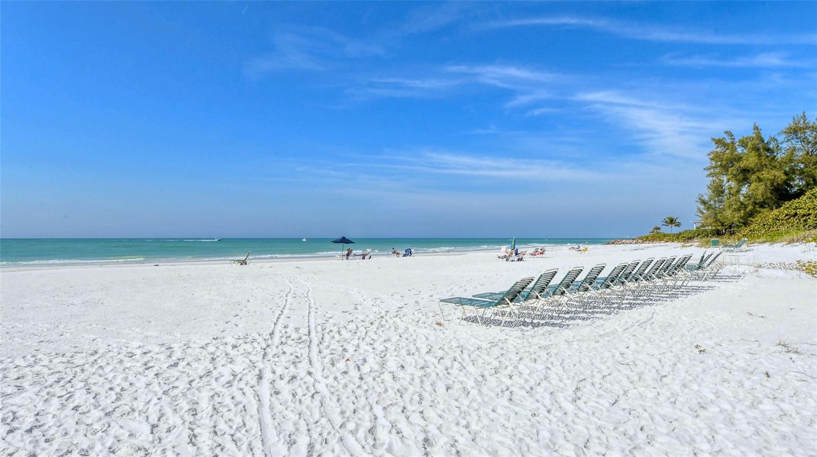 199 WHISPERING SANDS DR #204, SARASOTA, FL, 34242