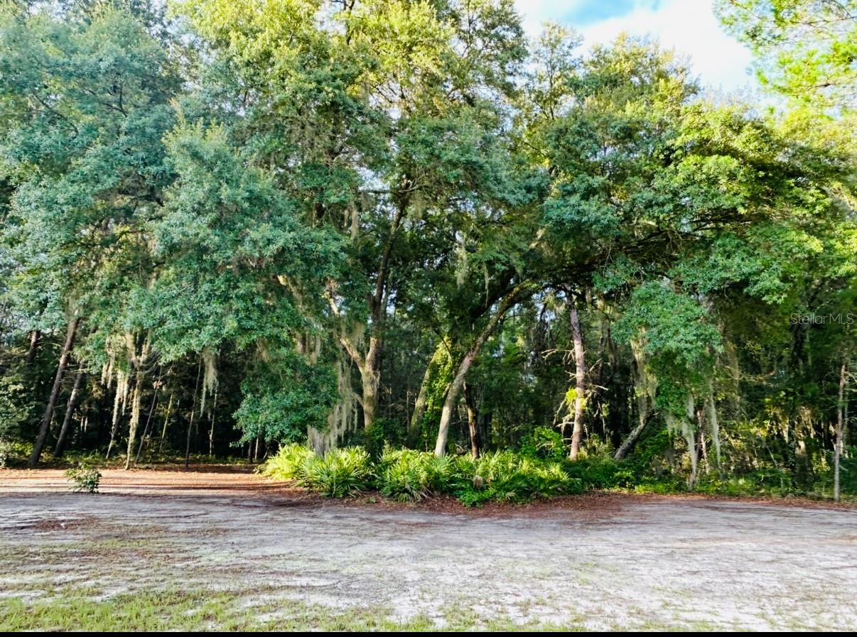 799 MARION OAKS LN, OCALA, FL, 34473