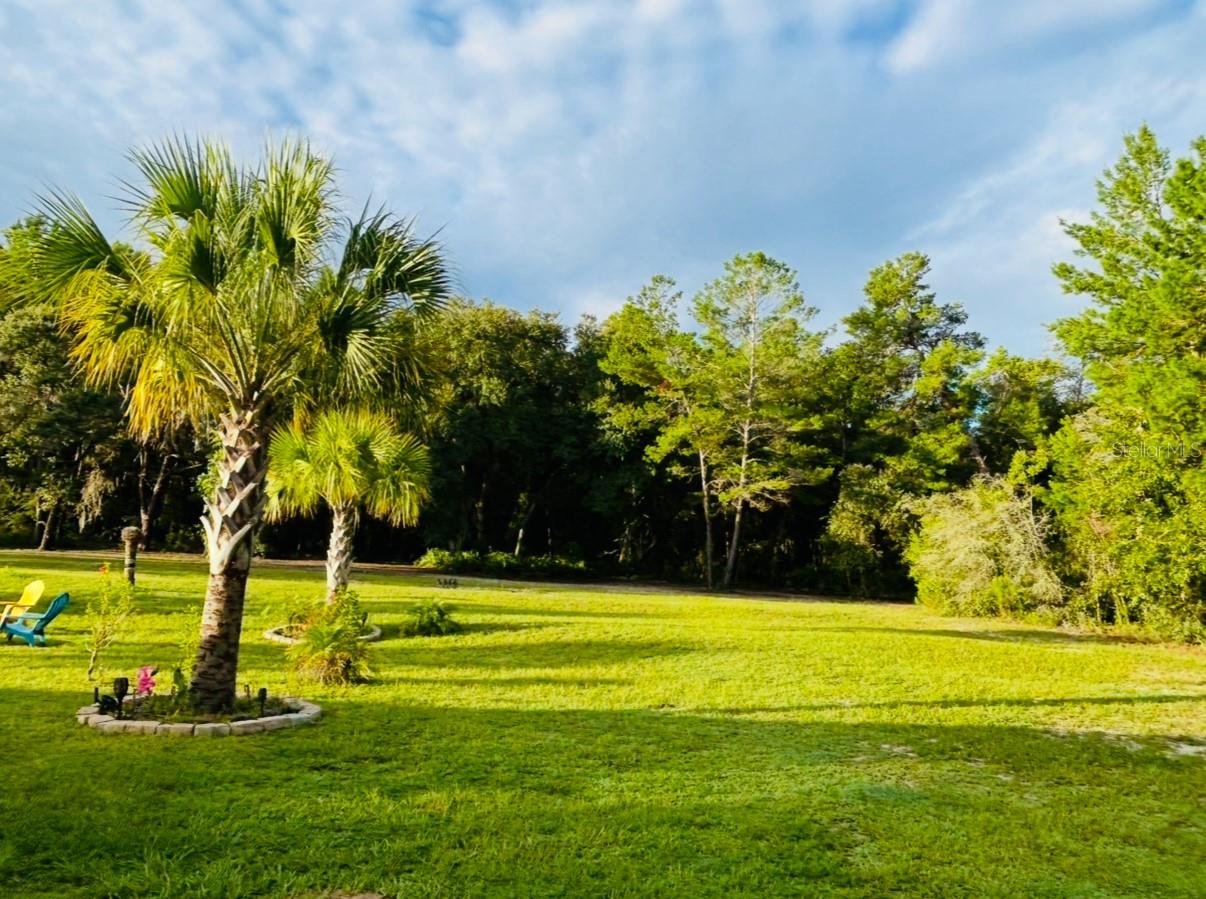 799 MARION OAKS LN, OCALA, FL, 34473