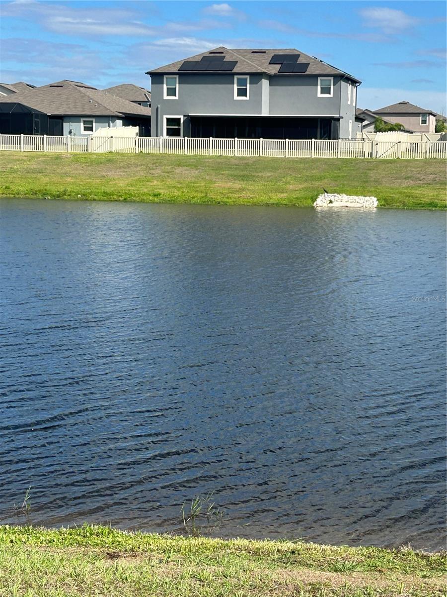 view to house form other side of pond