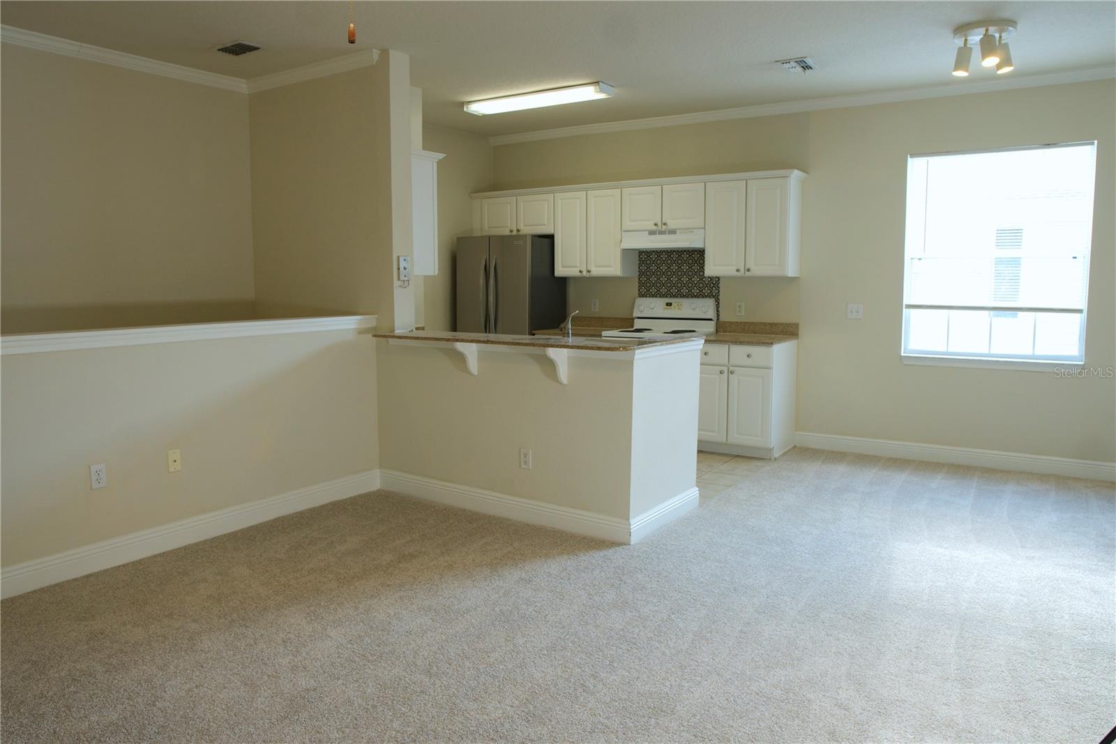 233 SOUTHERN PECAN CIR #101, WINTER GARDEN, FL, 34787