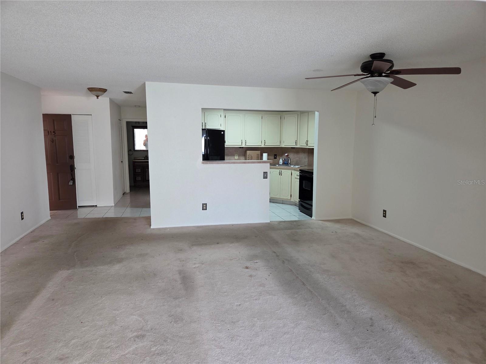 115 ASPEN CIR #115, SEMINOLE, FL, 33777