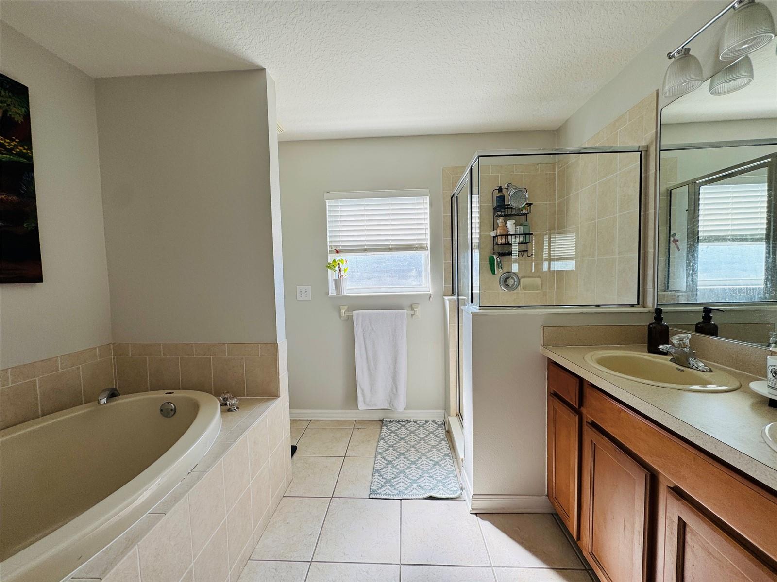 15207 SEAROBBIN DR, LAKEWOOD RANCH, FL, 34202
