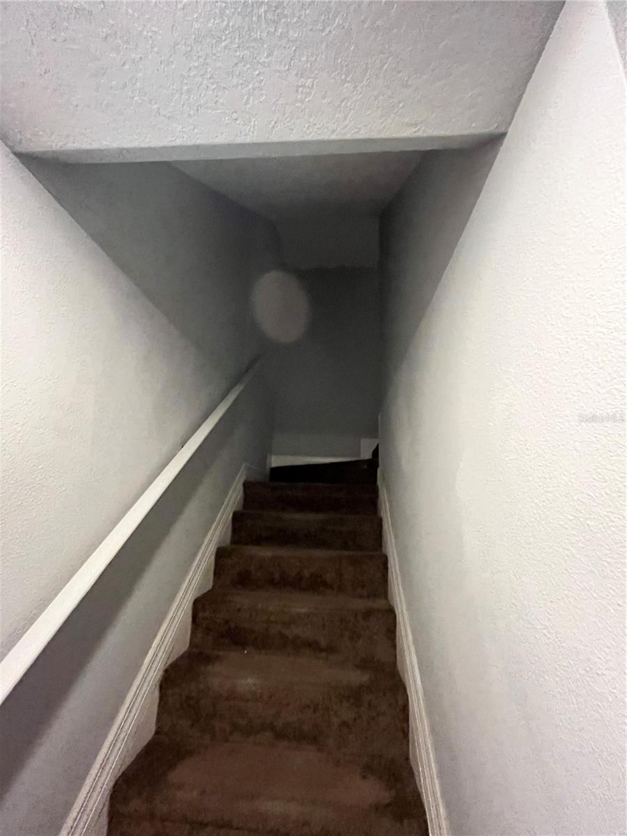 4539 BAY SPRING CT, TAMPA, FL, 33611