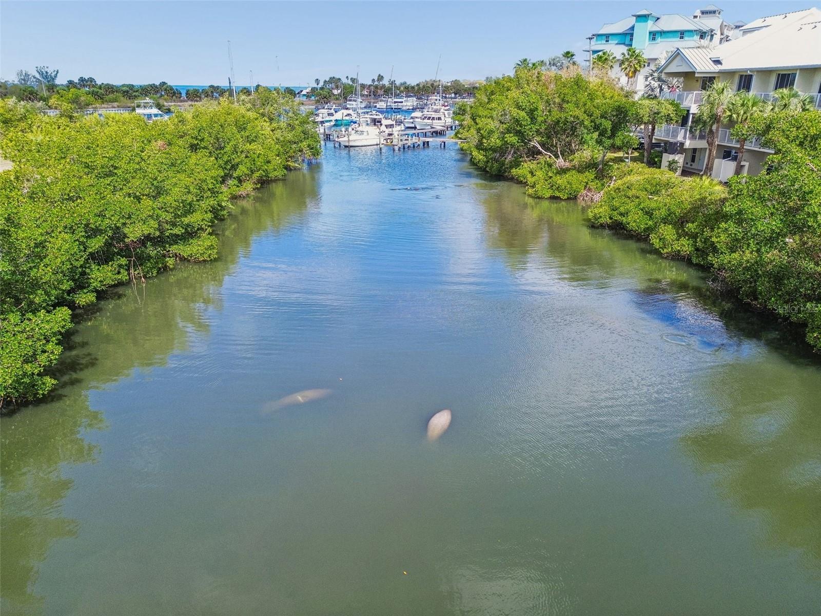 454 BAHIA BEACH BLVD, RUSKIN, FL, 33570