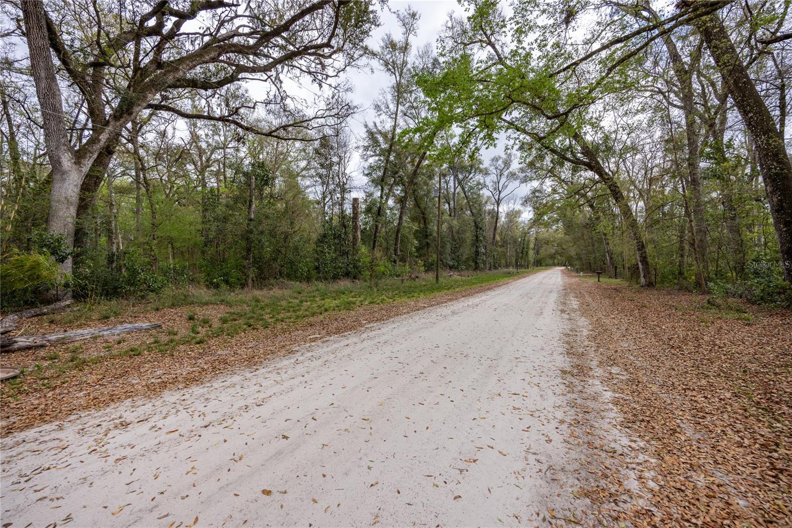 1187 SW BOSTON TER, FORT WHITE, FL, 32038