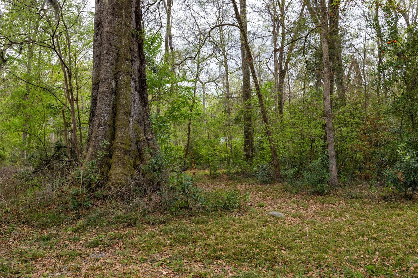 1187 SW BOSTON TER, FORT WHITE, FL, 32038