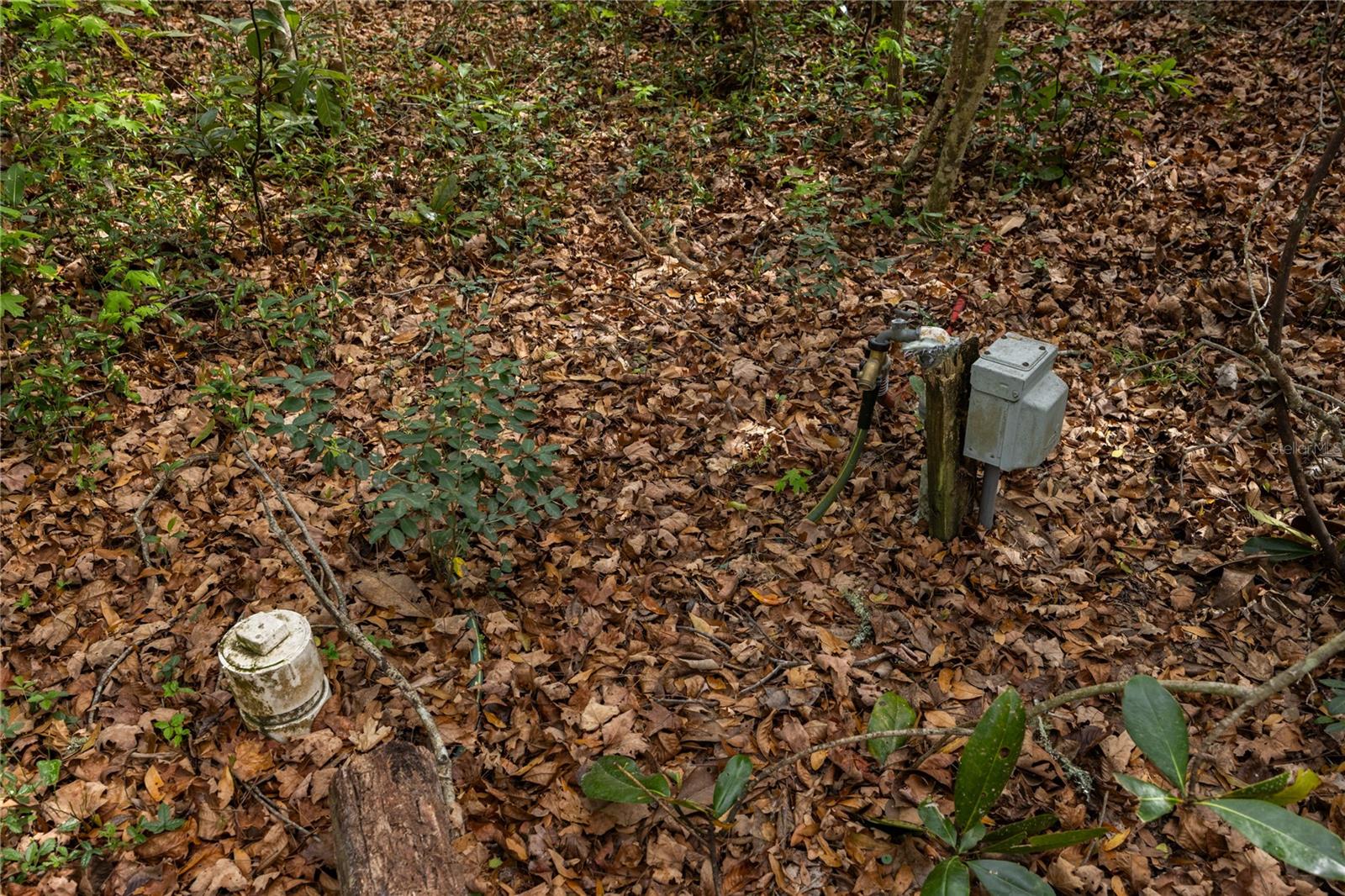 1187 SW BOSTON TER, FORT WHITE, FL, 32038