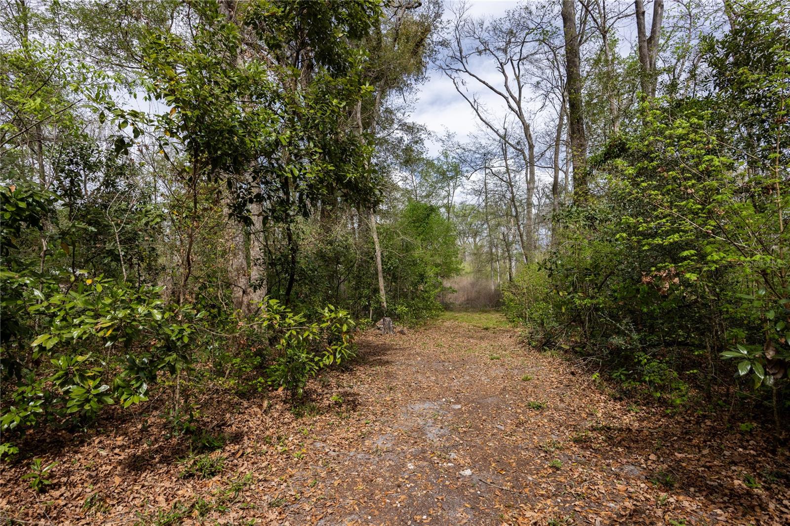 1187 SW BOSTON TER, FORT WHITE, FL, 32038