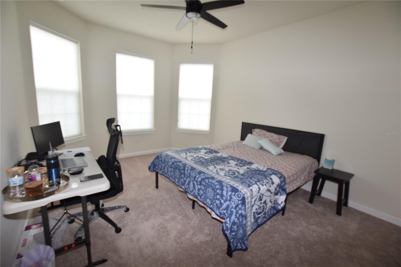 15966 WINDING BLUFF DR, MONTVERDE, FL, 34756