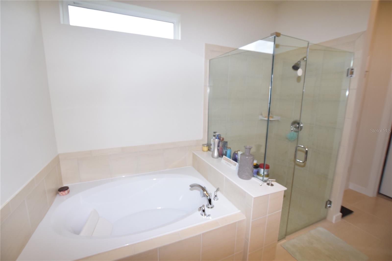 15966 WINDING BLUFF DR, MONTVERDE, FL, 34756