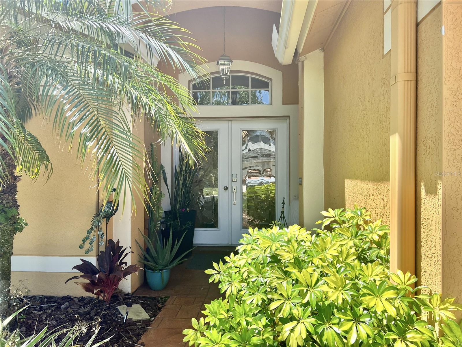 31244 CRESTMONT CT, WESLEY CHAPEL, FL, 33543