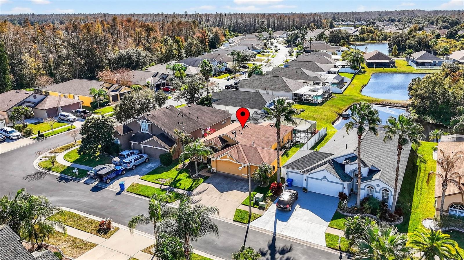 31244 CRESTMONT CT, WESLEY CHAPEL, FL, 33543