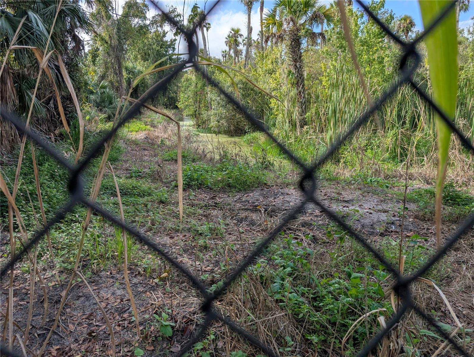 3151 ROOKS RD, DAVENPORT, FL, 33837