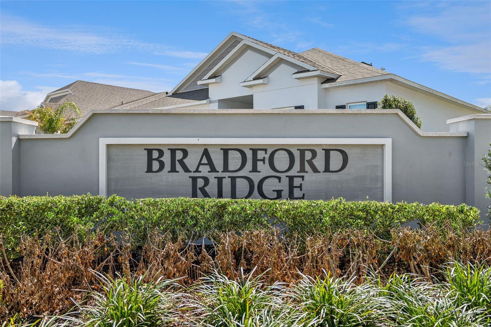 1076 BRADFORD RIDGE DR, LEESBURG, FL, 34748