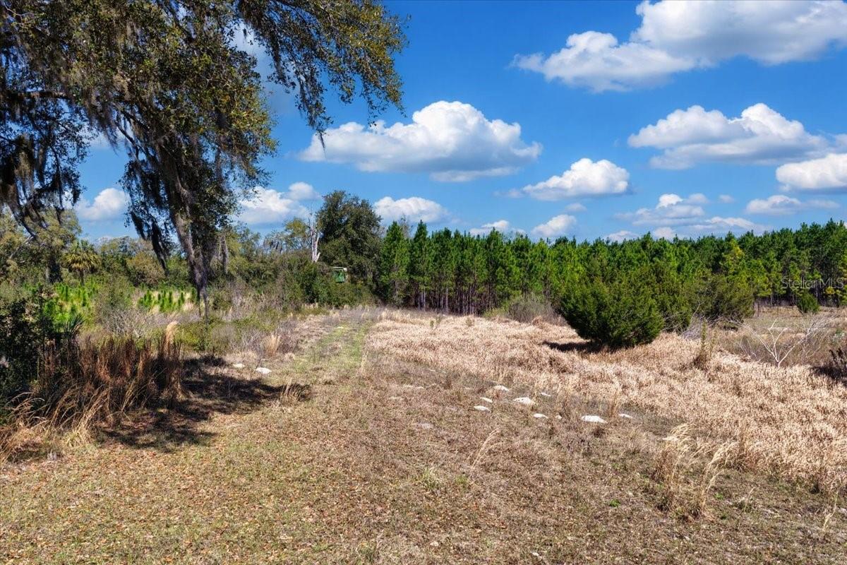 000 NW 60TH AVE, CHIEFLAND, FL, 32626