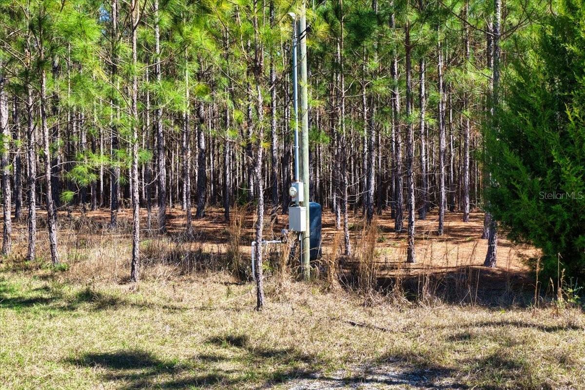 000 NW 60TH AVE, CHIEFLAND, FL, 32626