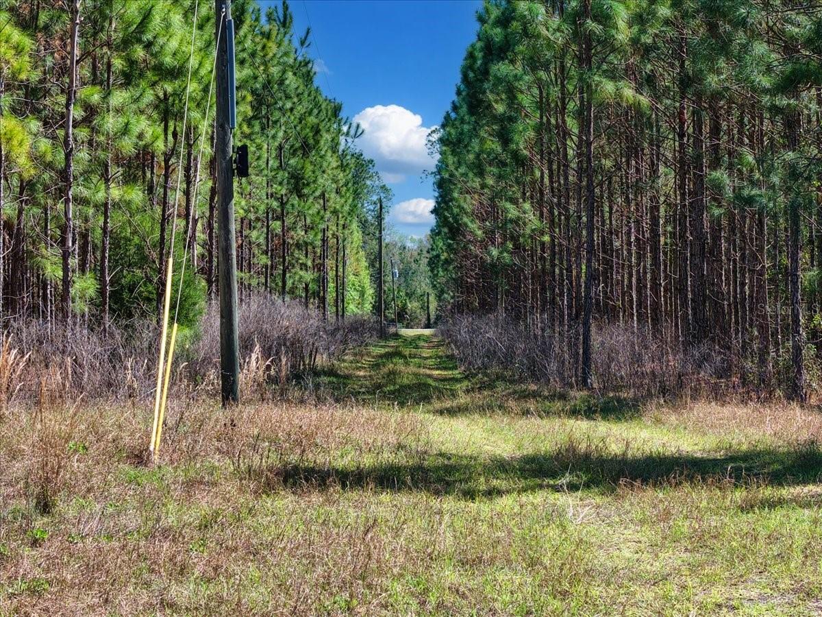 000 NW 60TH AVE, CHIEFLAND, FL, 32626
