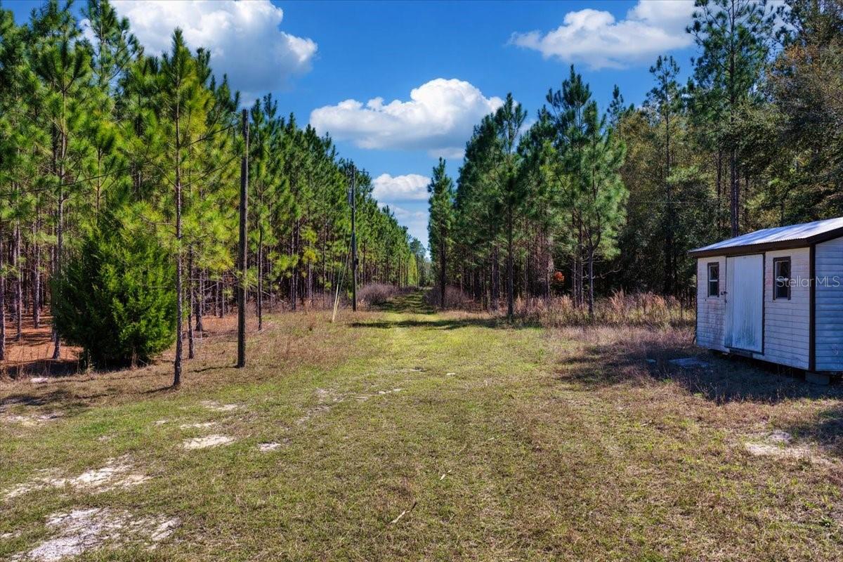 000 NW 60TH AVE, CHIEFLAND, FL, 32626