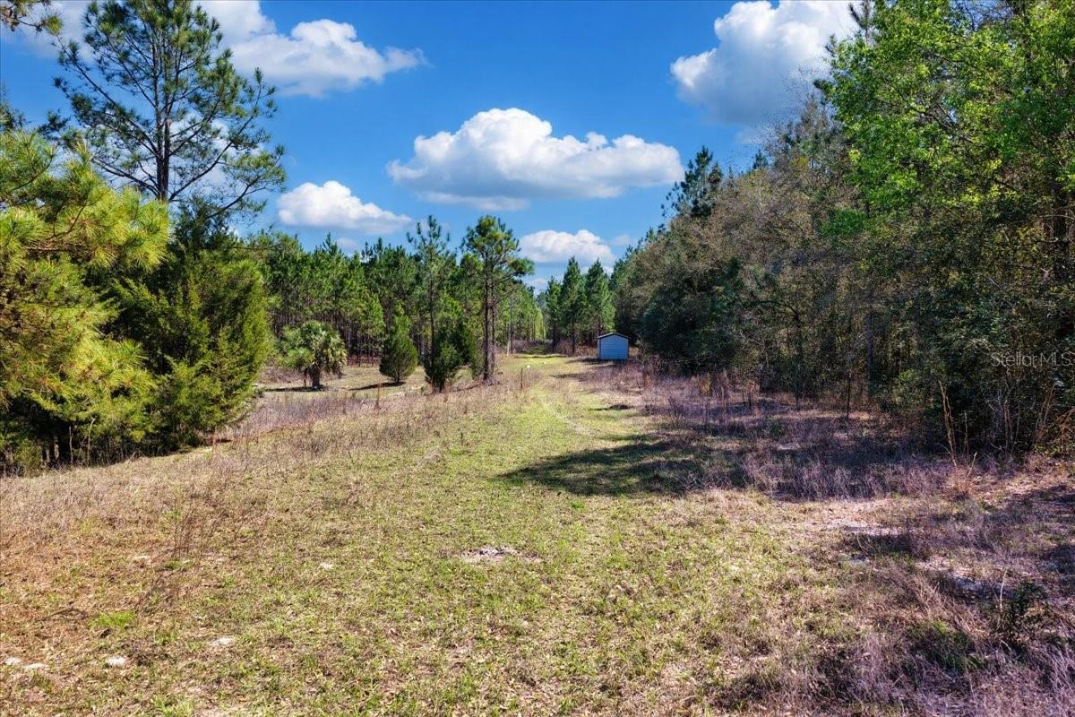 000 NW 60TH AVE, CHIEFLAND, FL, 32626