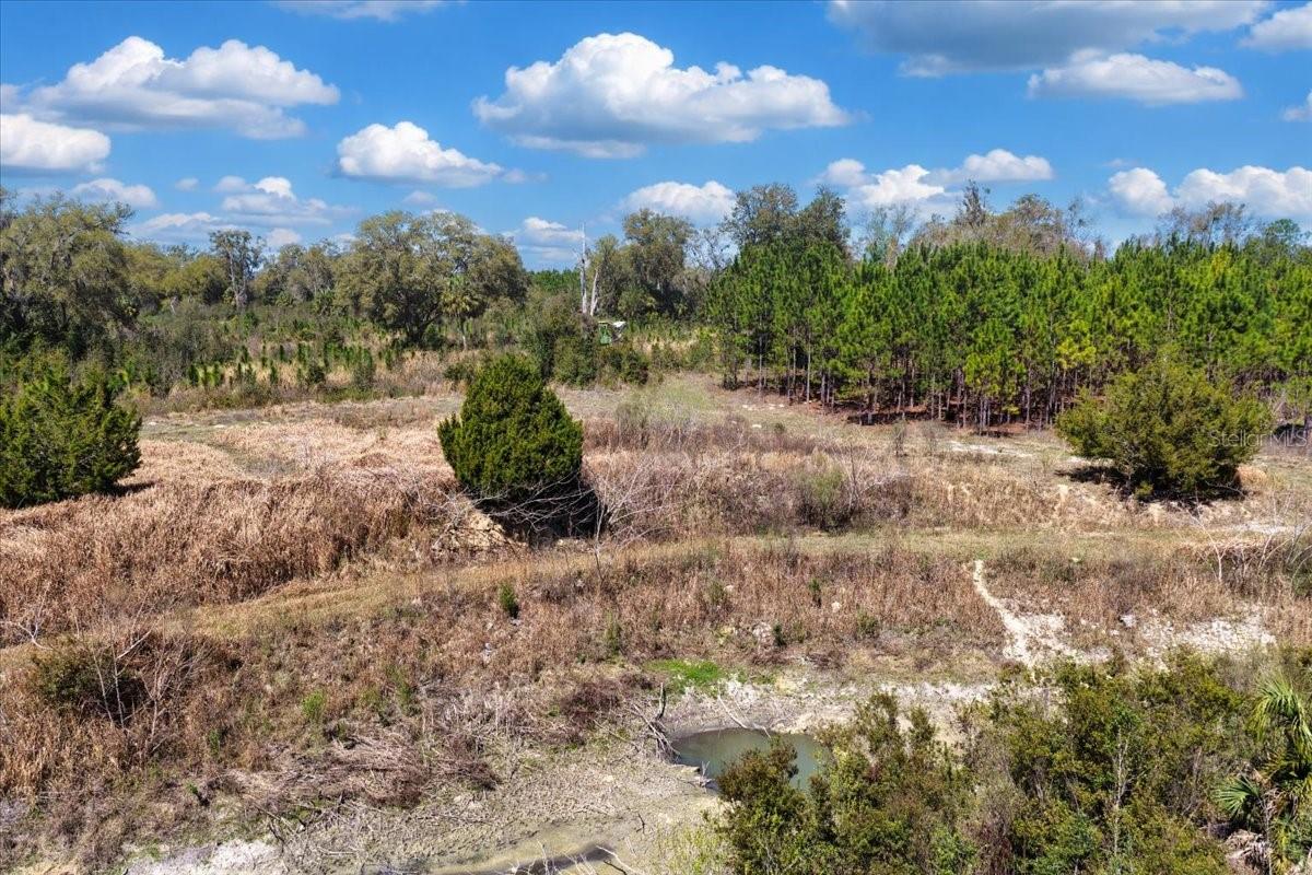 000 NW 60TH AVE, CHIEFLAND, FL, 32626