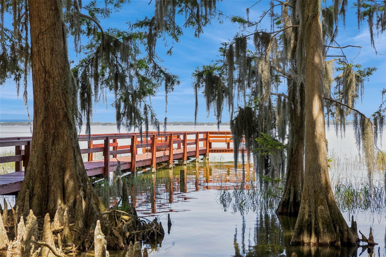 1224 PALMETTO RD, EUSTIS, FL, 32726