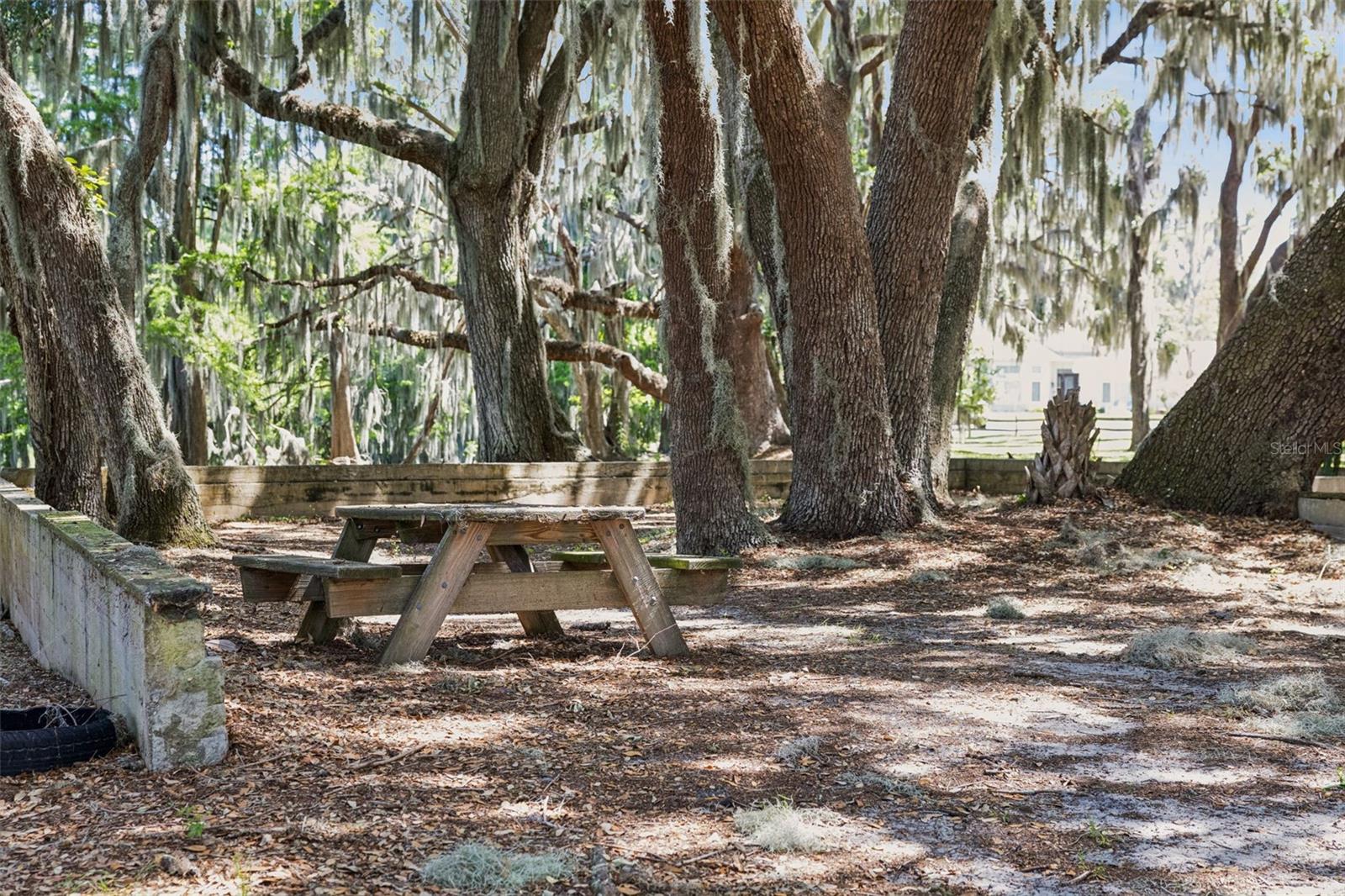 1224 PALMETTO RD, EUSTIS, FL, 32726