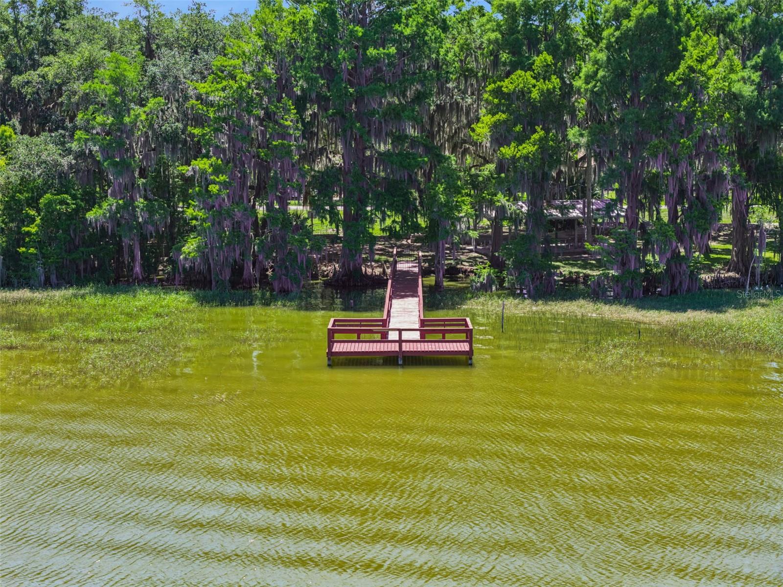 1224 PALMETTO RD, EUSTIS, FL, 32726